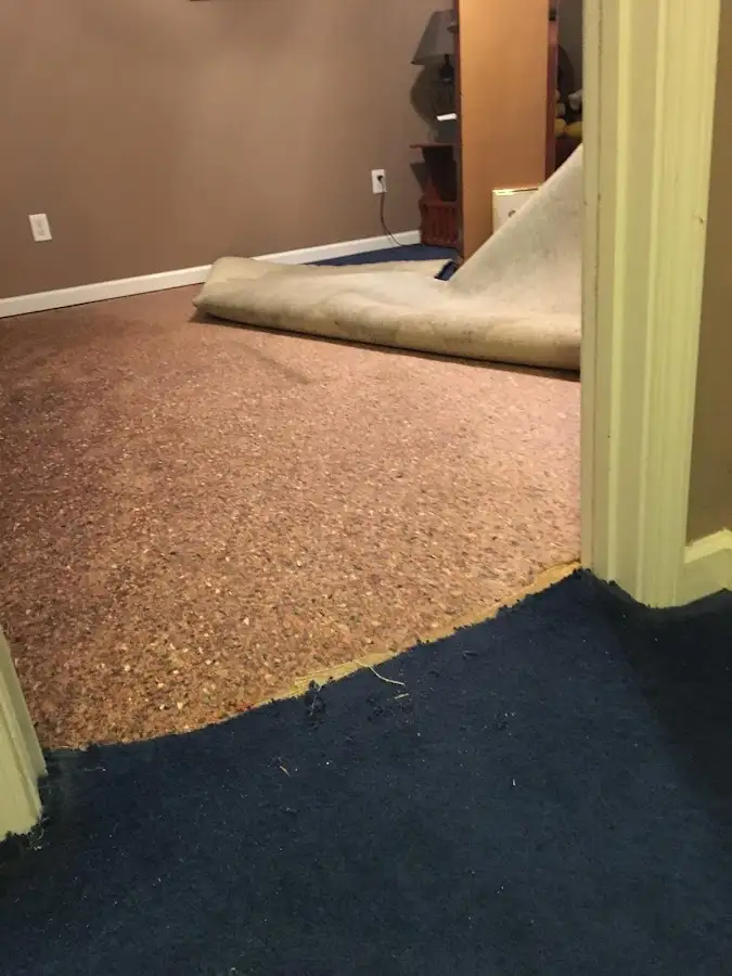 Carpet pad removal revealing water damage during Water Mitigation Services in Monmouth