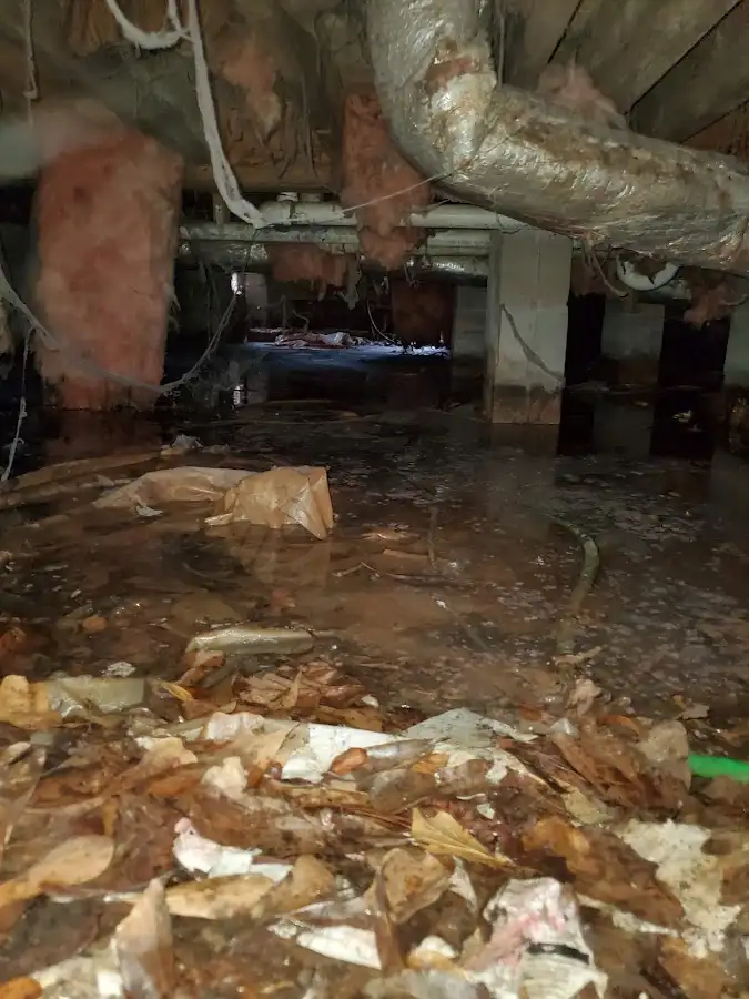 Crawl space flood assessment for Leak Detection & Repair in Monmouth
